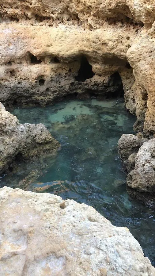 Διαμέρισμα Villa Lourenco Καρβοέιρο Πορτογαλία
